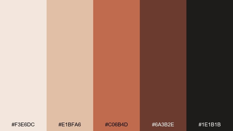 terracotta night living room color palette with hex codes