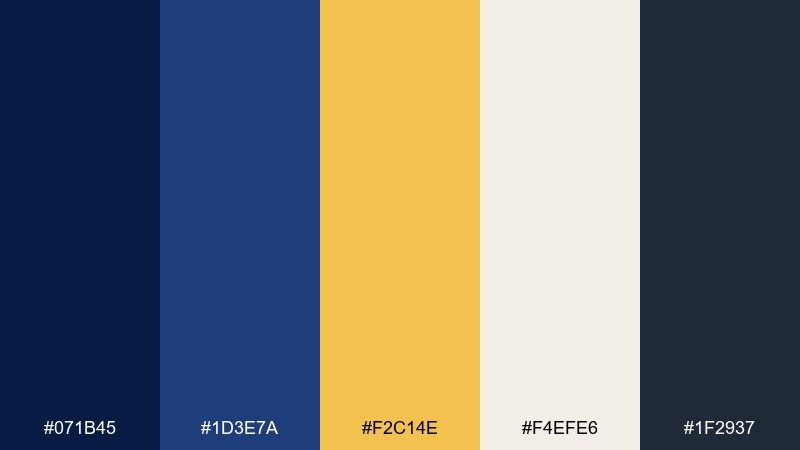 university banner color palette with hex codes