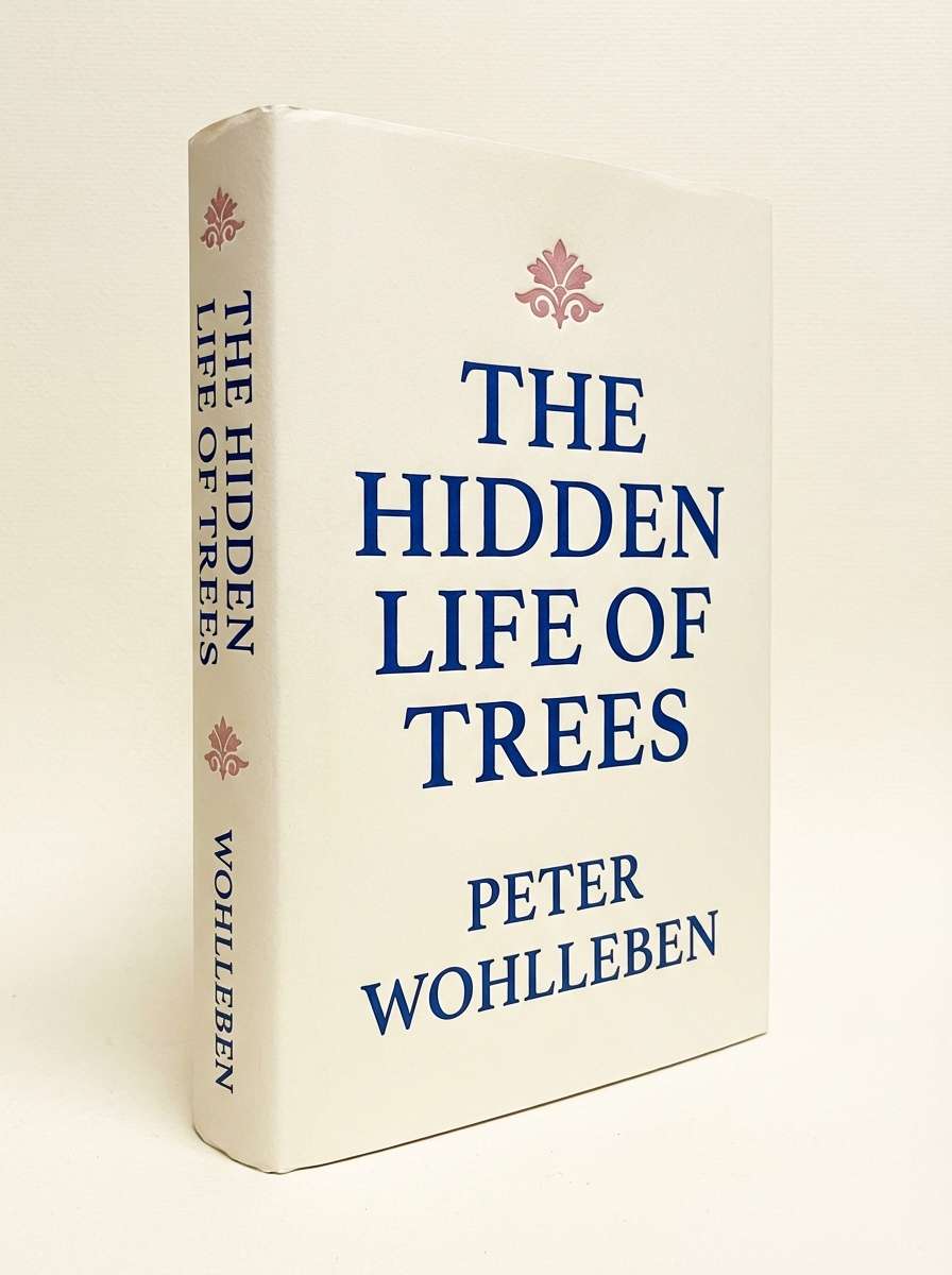 vintage book cover with sapphire tones