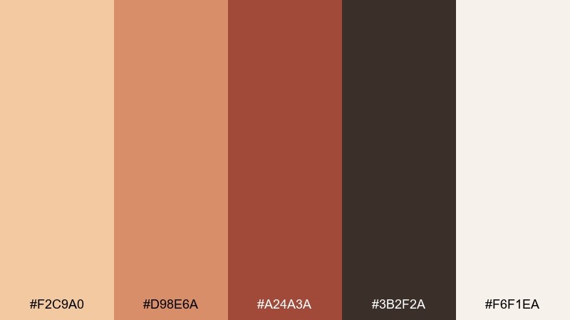 warm spotlight studio color palette with hex codes