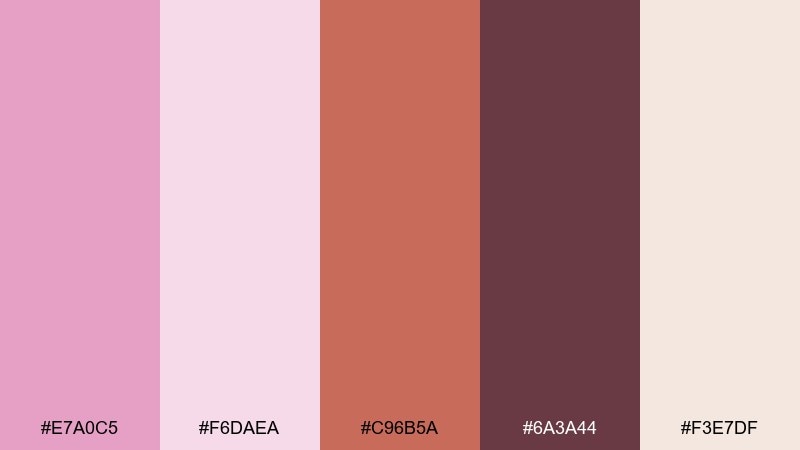 warm terracotta pairing pale magenta color palette with hex codes