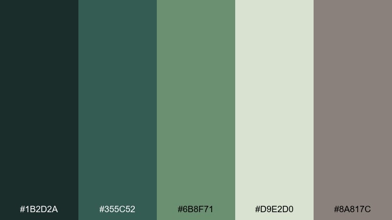 wet stone green jungle blue color palette with hex codes