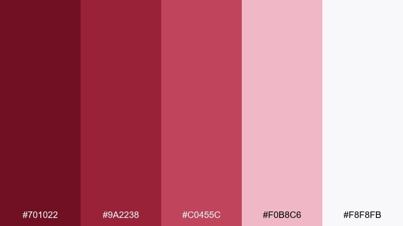 winter cranberry color palette with hex codes