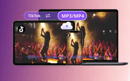 TikTok Downloader