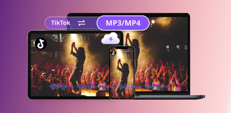 TikTok Downloader