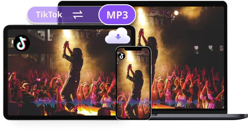 TikTok Video zu MP3 Konverter