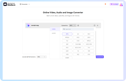 choose the format for conversion