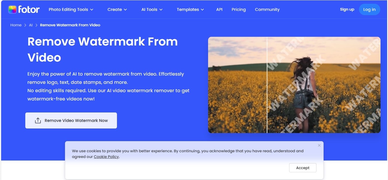 Fotor TikTok Watermark Remover