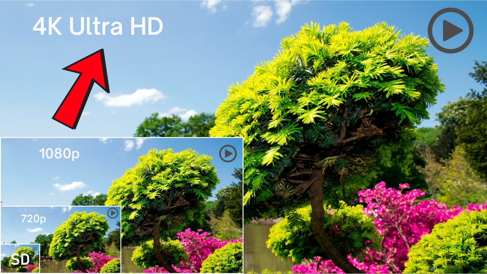 10 Alat AI Terbaik untuk Meningkatkan Video ke 4K pada tahun 2025 (Tanpa Kamera 4K Diperlukan)