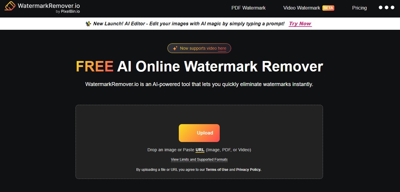 Black and Orange Watermark Remover