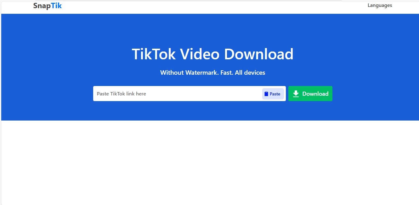 SnapTik TikTok Watermark Remover