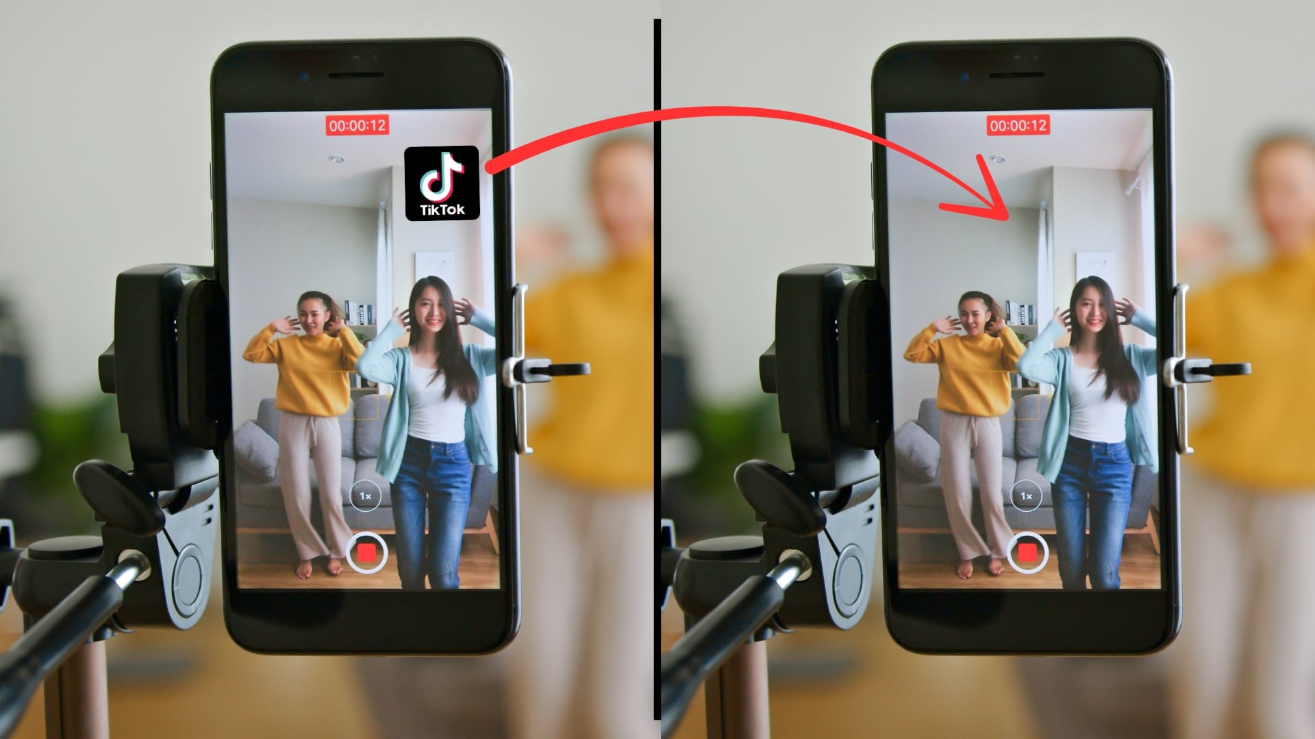 TikTok Watermark Remover Poster