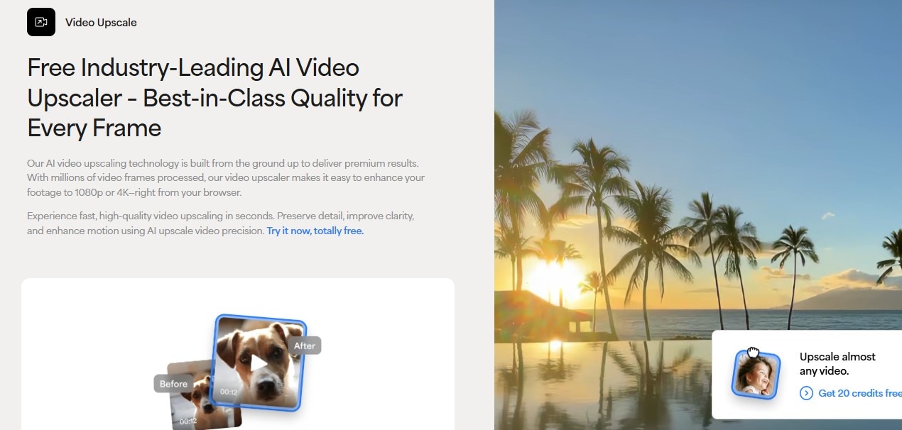 Topaz Upscaler White Page