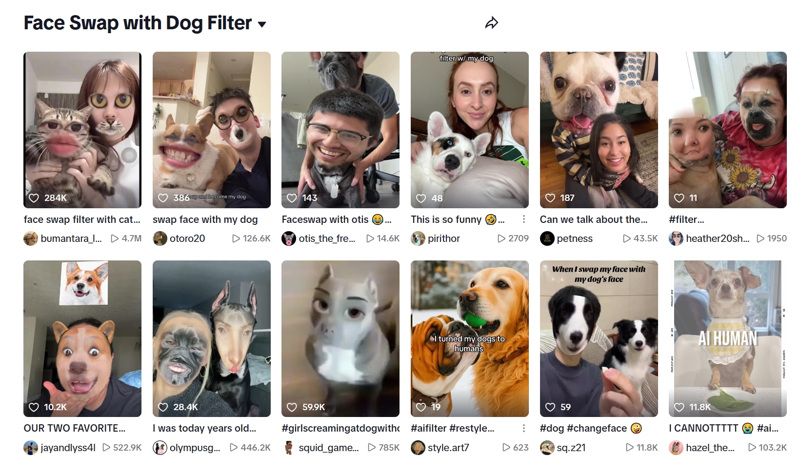 swap your face with dog