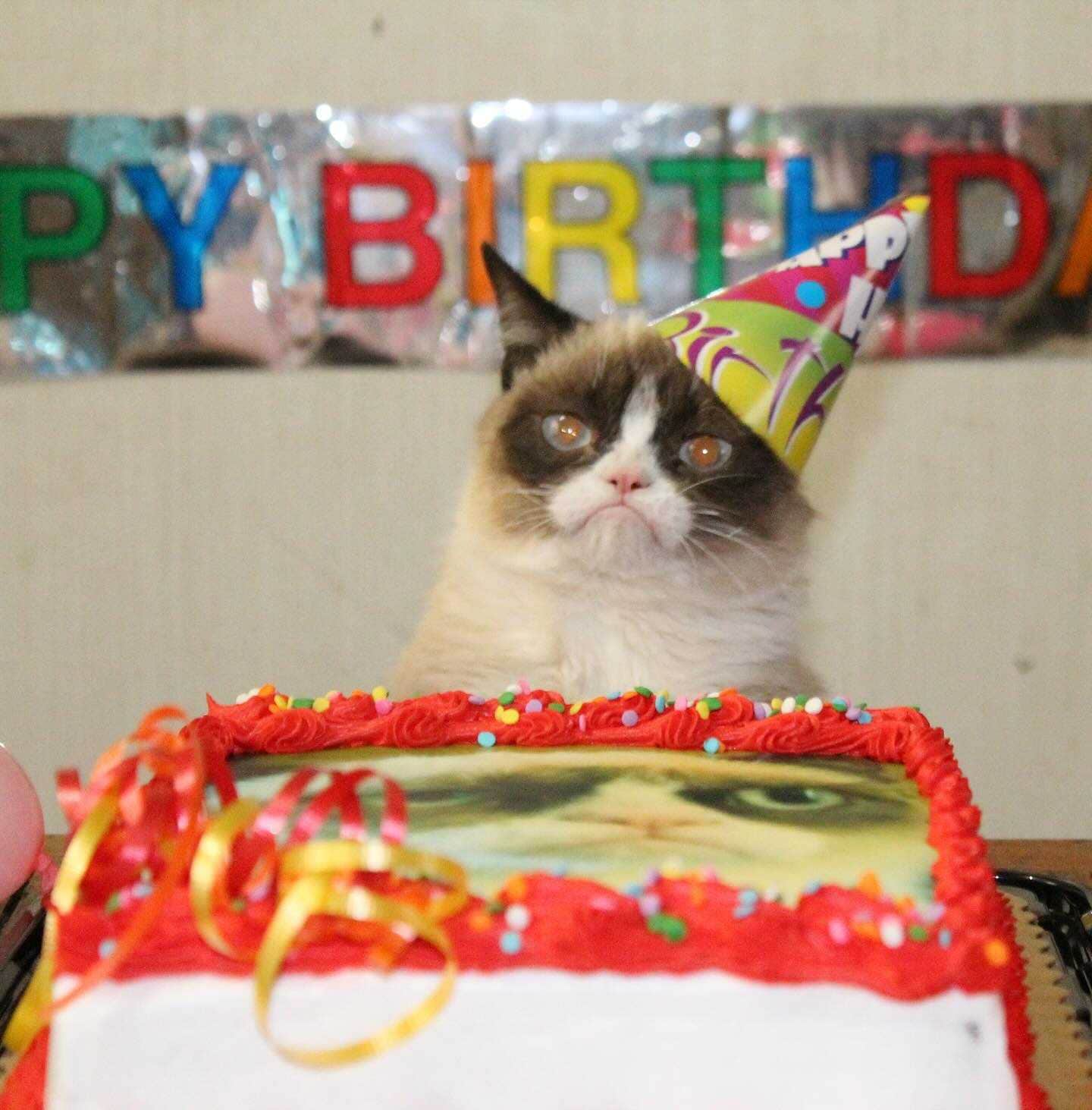 grumpy cat happy birthday