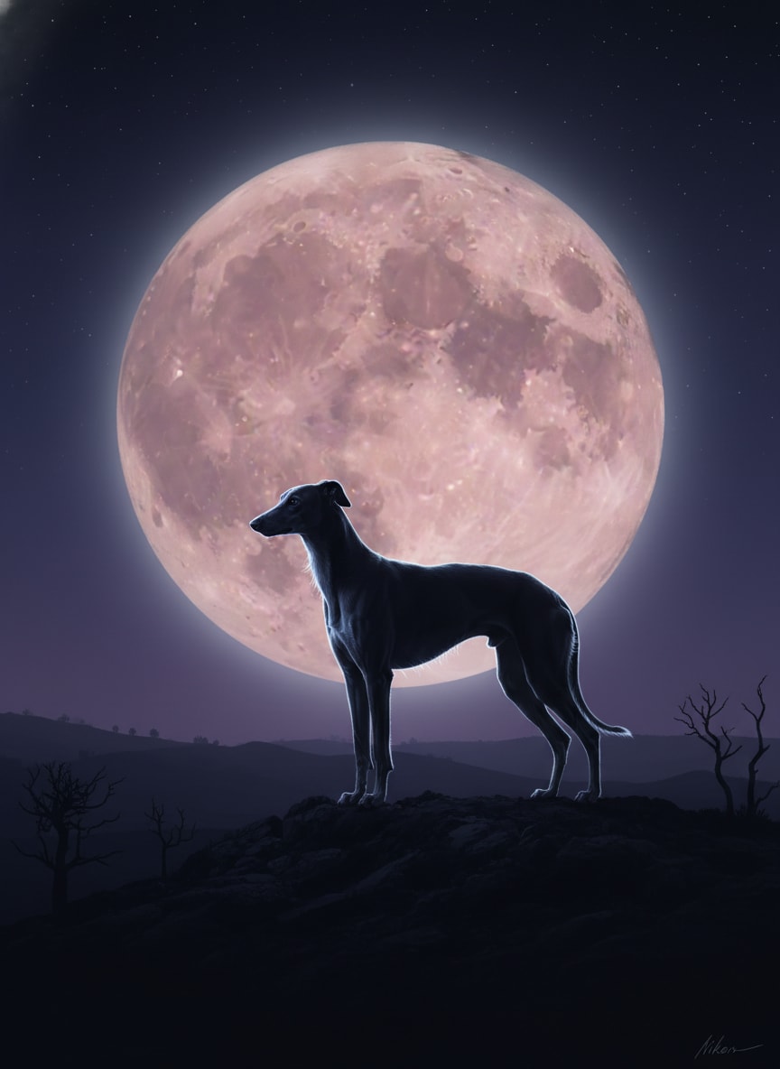 Greyhound Moon Silhouette Night