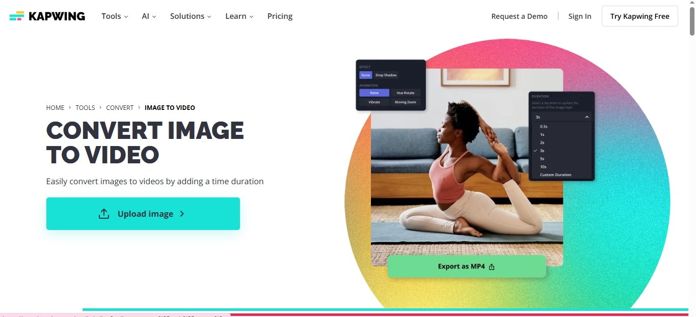 Kapwing White Interface