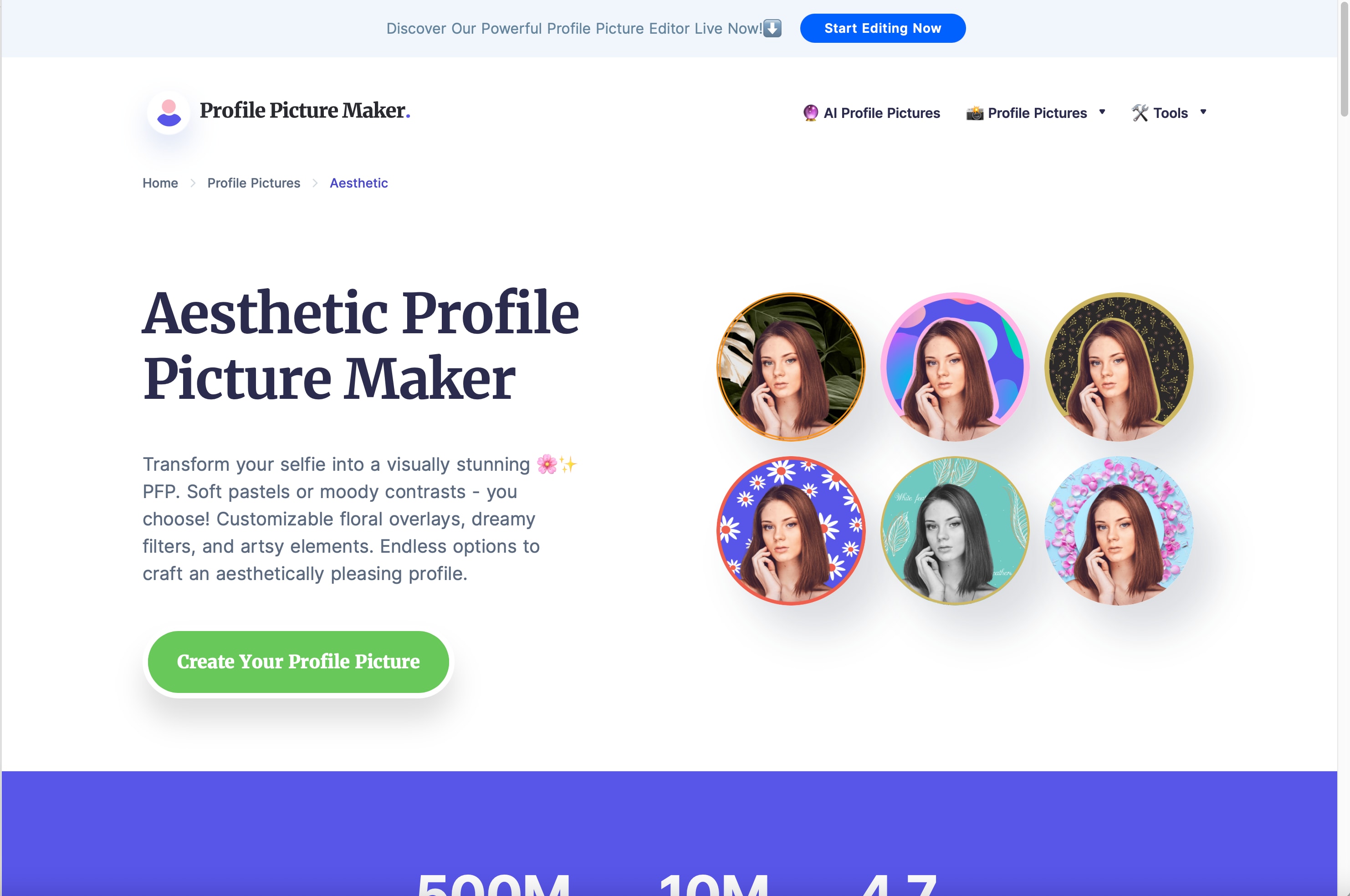 PFPMaker First Interface