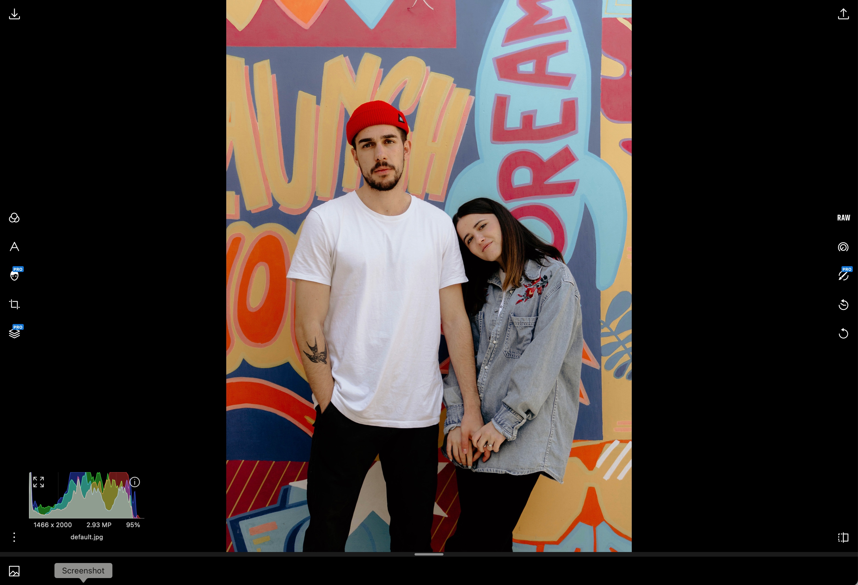Polarr Online First Interface