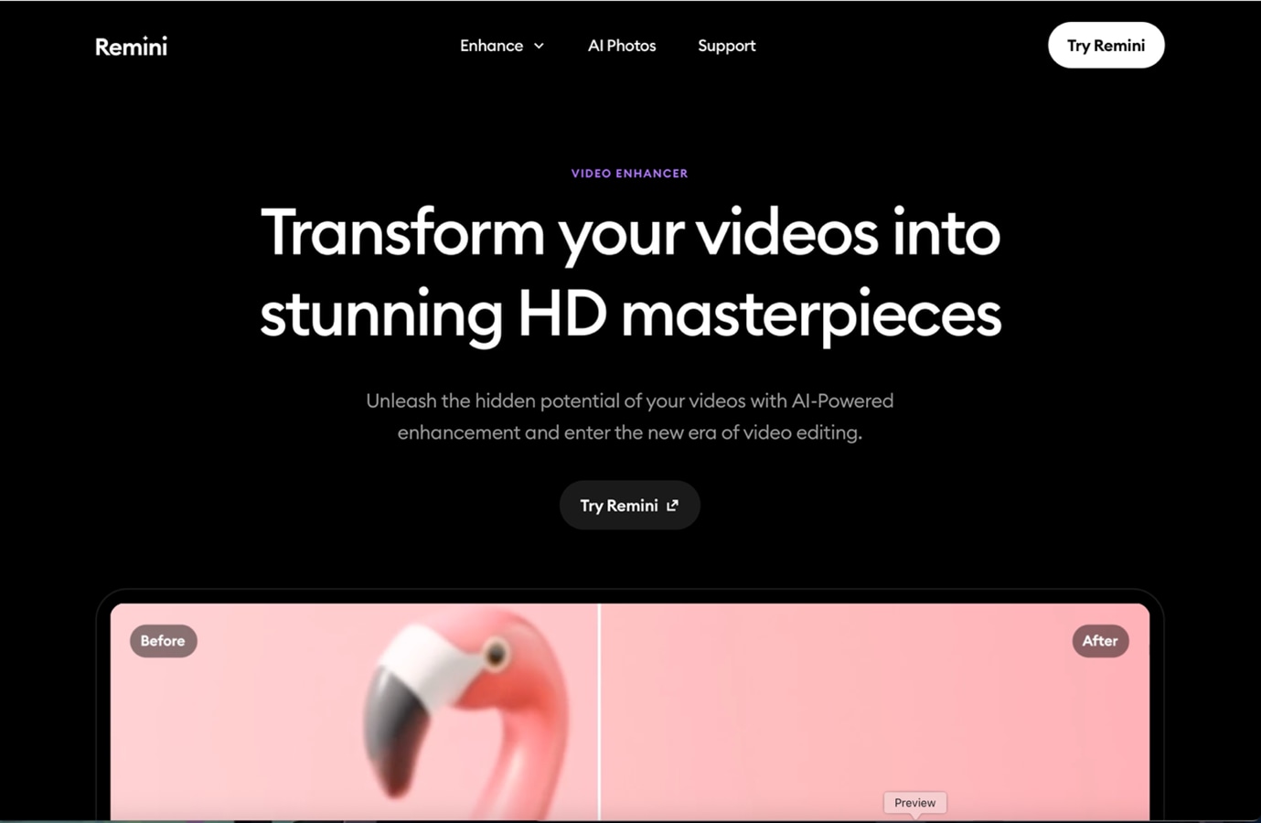 Remini Black Homepage