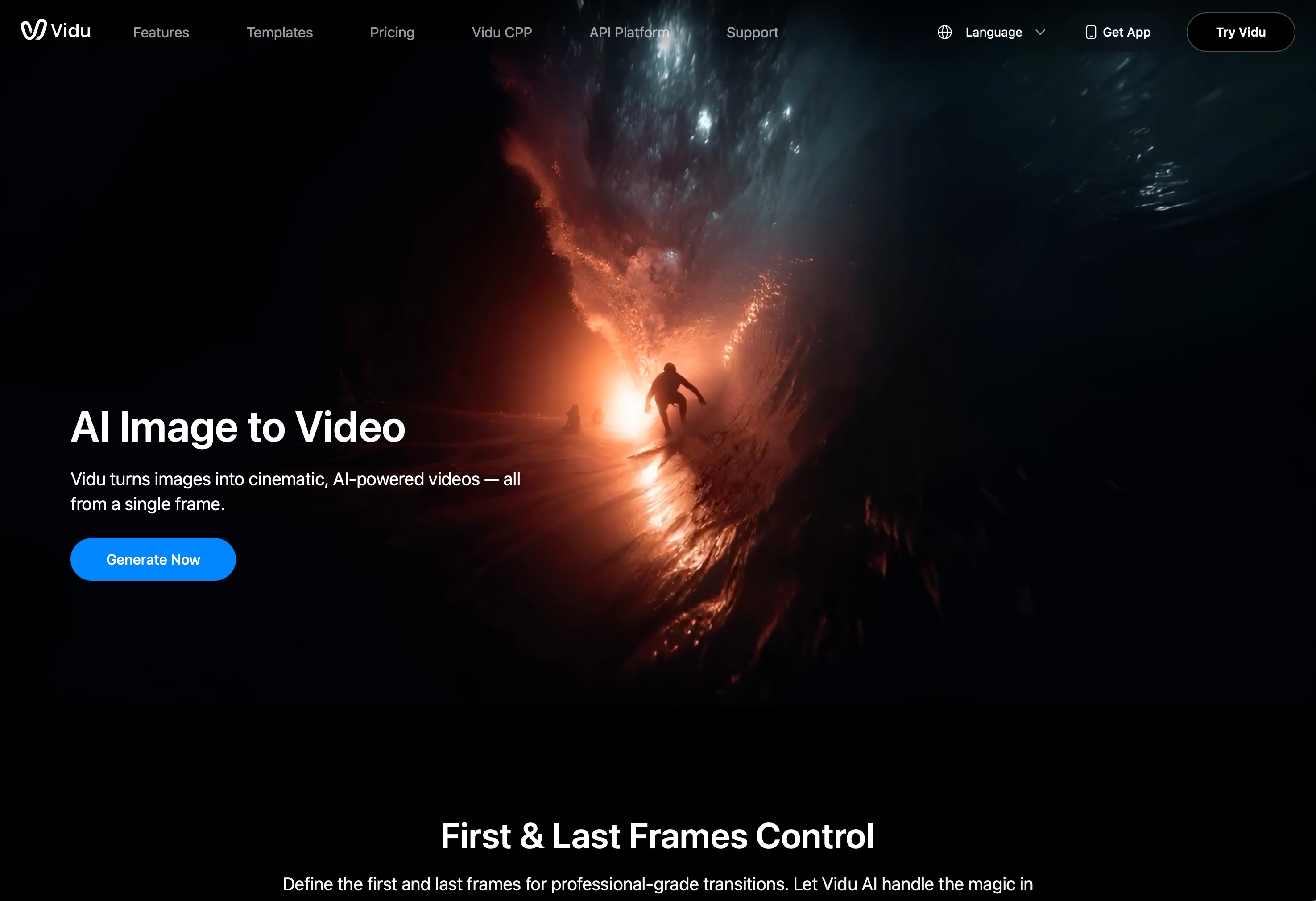 Vidu Black Interface Site