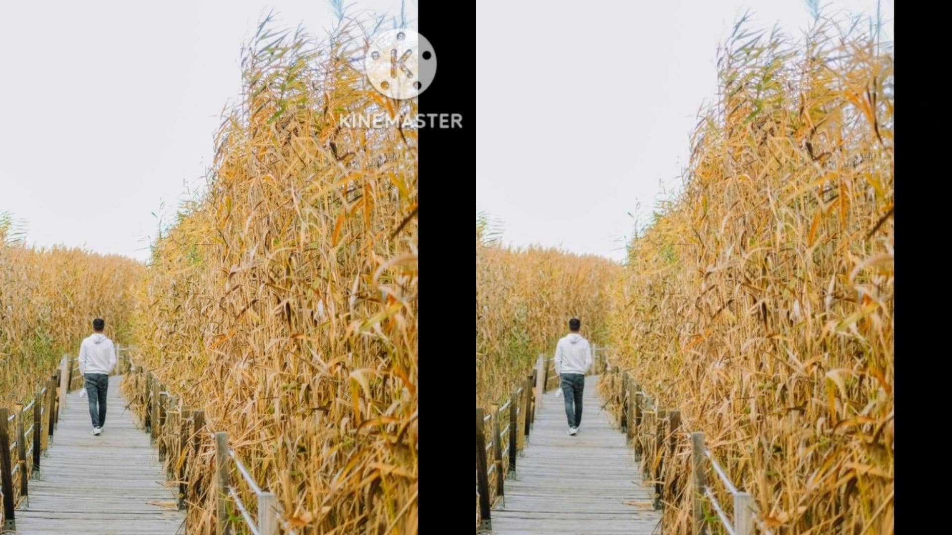 mediaio kinemaster watermark removed