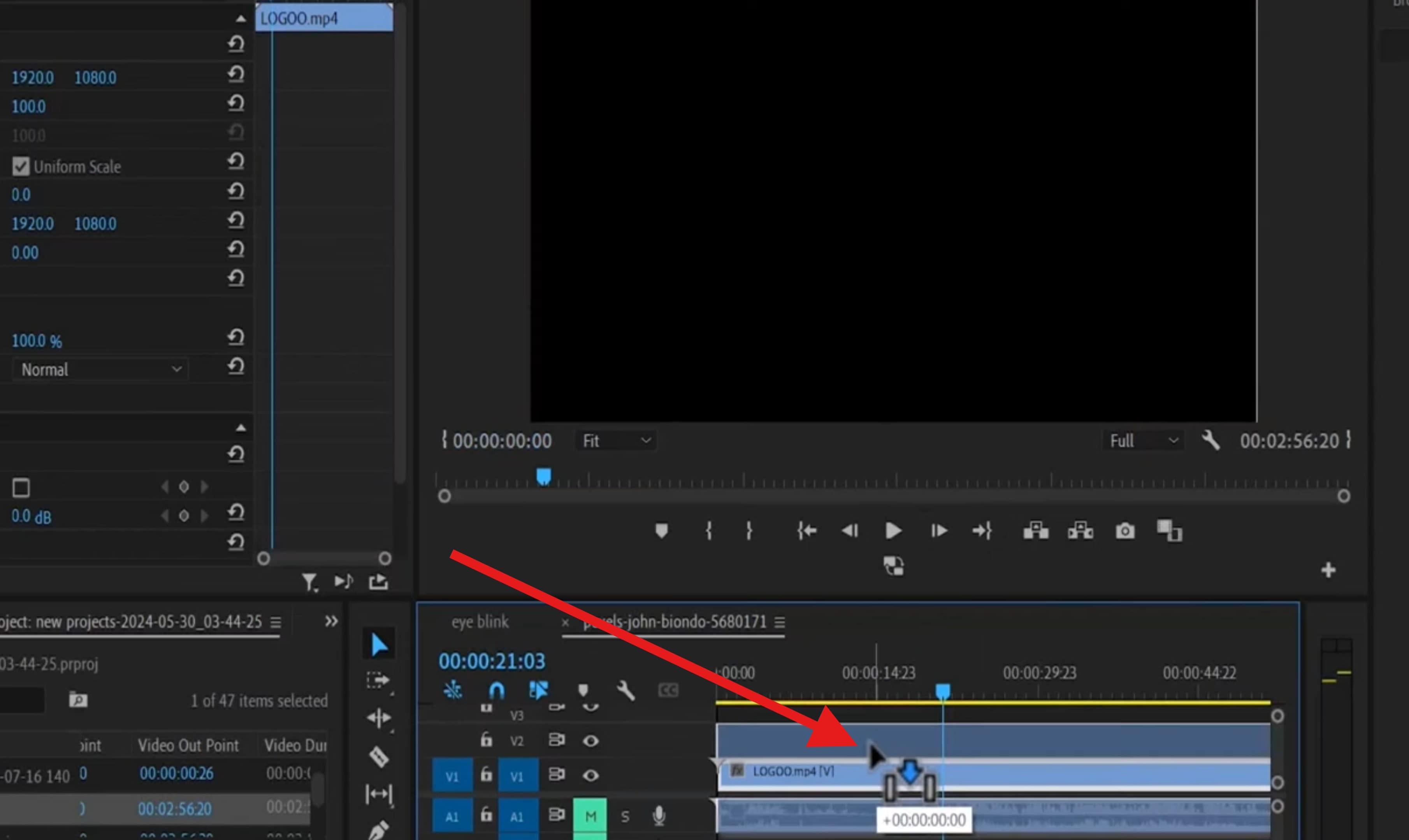 duplicate video in premiere pro timeline