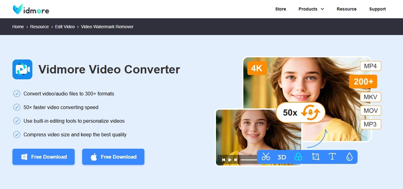 vidmore watermark remover software download screenshot