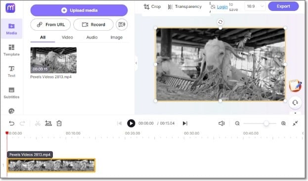 video editor without watermark media.io