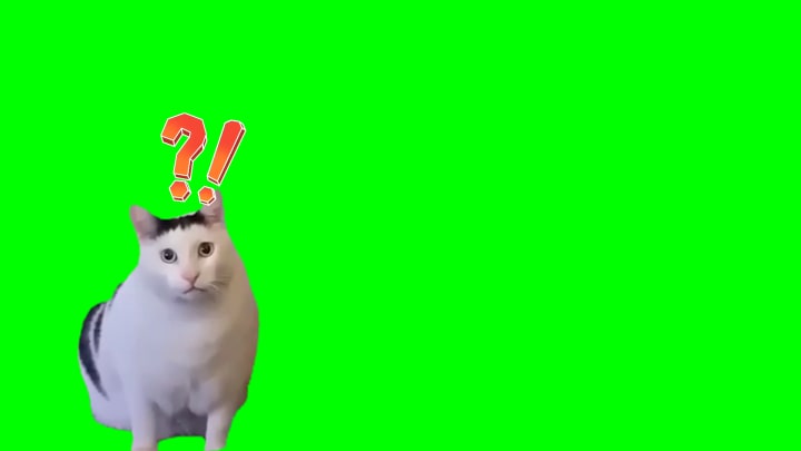 Confused-Cat Meme