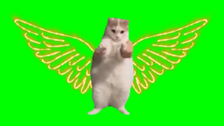 Dancing Cat With Wings-Cat Meme