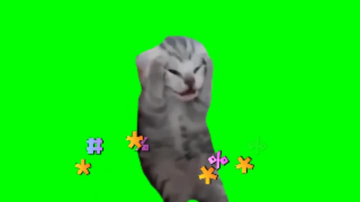 Vomit-Cat Meme