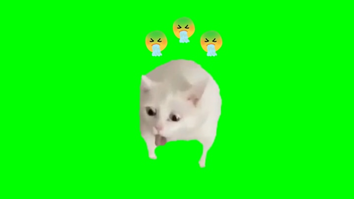 Vomit-Cat Meme