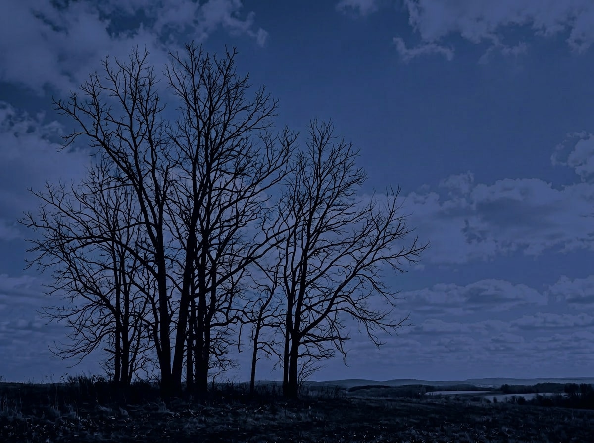 after - landscape with deep cobalt-blue photo midnight effect applied