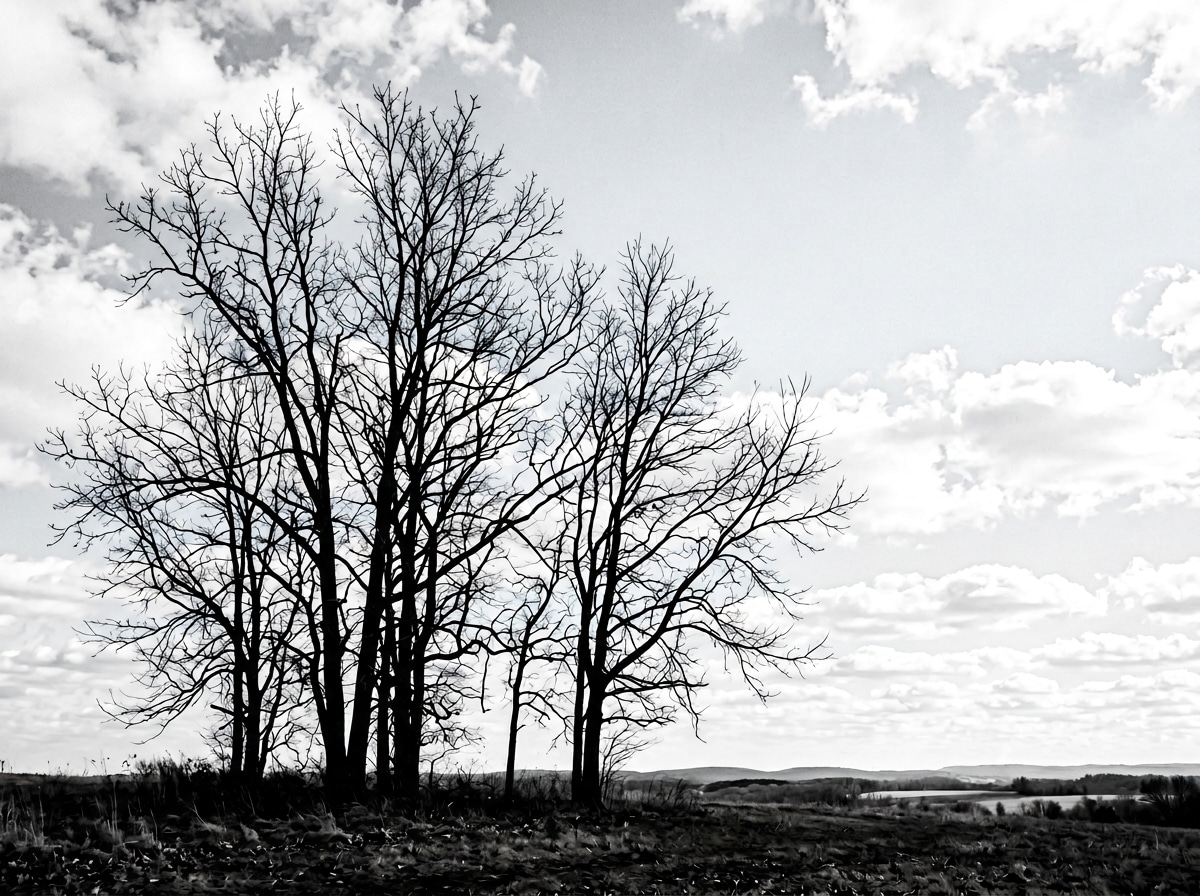 before - normal daytime landscape without midnight effect