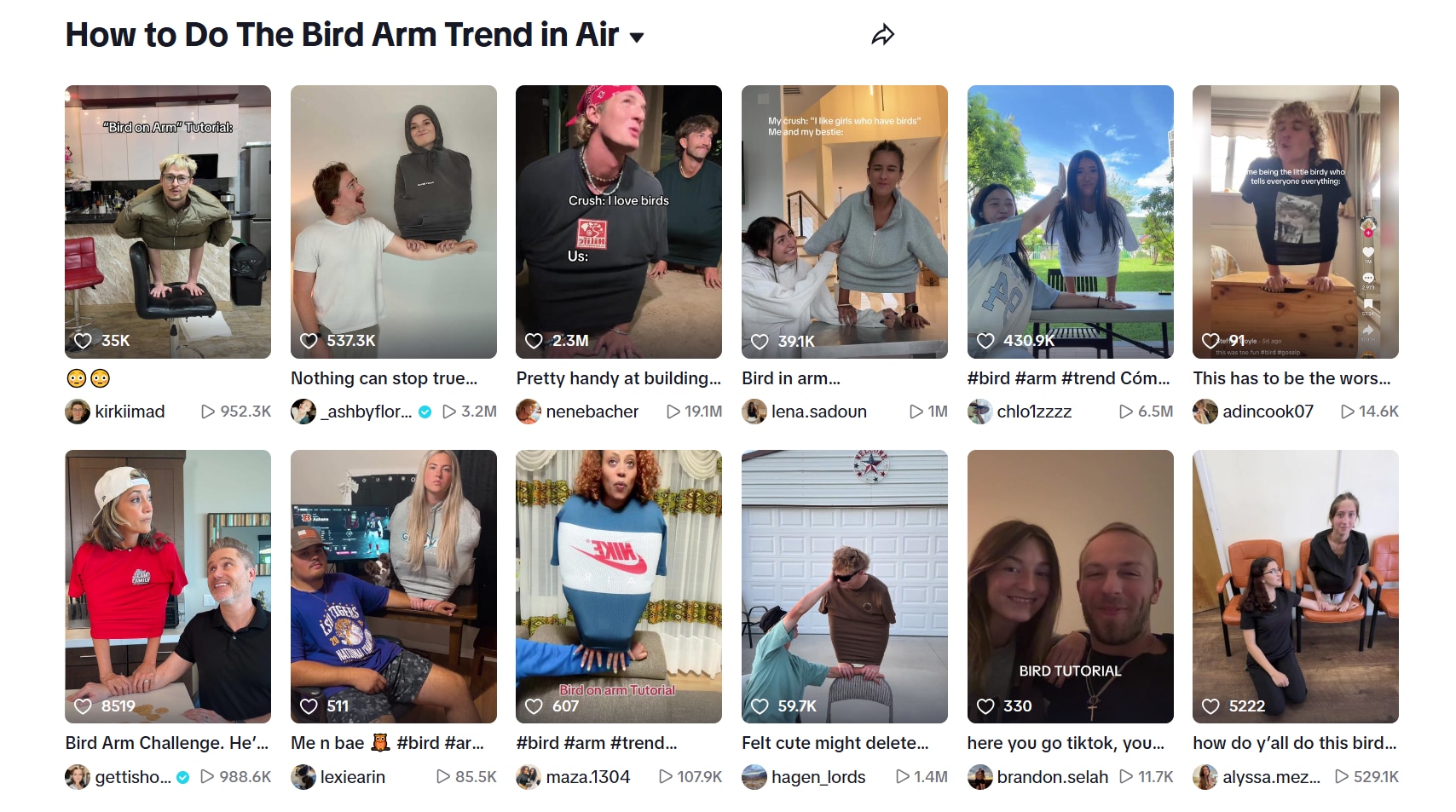 tiktok-bird-trend